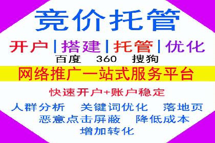短视频平台的SEM推广实践与效果